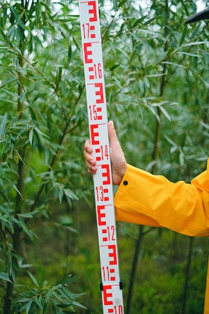 Does Weed Really Stunt Your Growth? The Science Explained