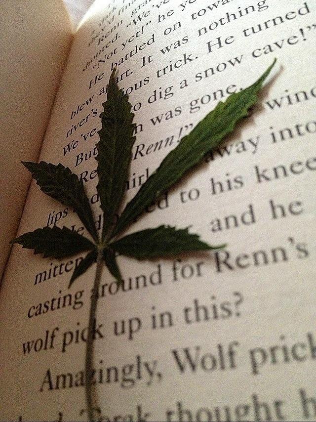 Caught Smoking Weed in the Library Funniest Sh*t Ever